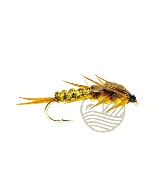 Mouche Gold Nugget Creeper Olive