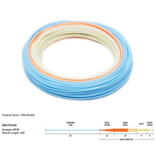 Soie RIO Elite DirectCore Permit WF F