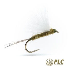 Mouche HOH Emergente 004