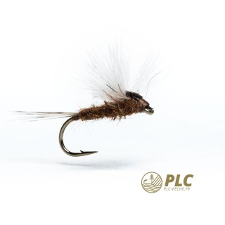 Mouche HOH Subimago 006
