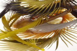 SEMPERFLI Natural Range Goose Biots Mixed Pack