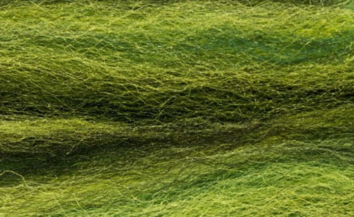 SEMPERFLI Predator Fibres - Multi coloris
