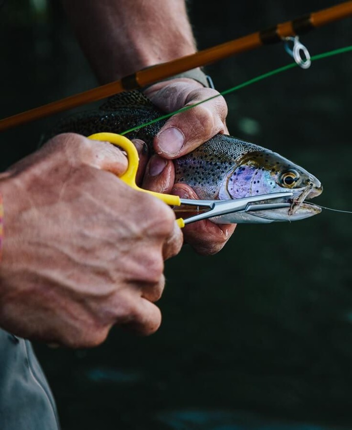 LOON Classic Forceps