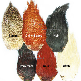 Cou de coq indien Top Grade Devaux | PLC-PECHE.FR