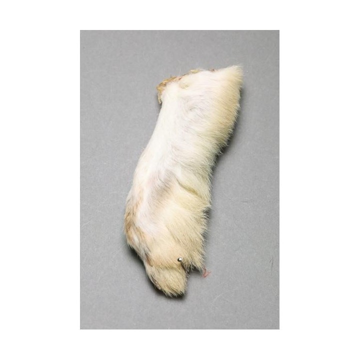 Patte de lièvre des neige Snowshoe Rabbit FLY SCENE | PLC-PECHE.FR