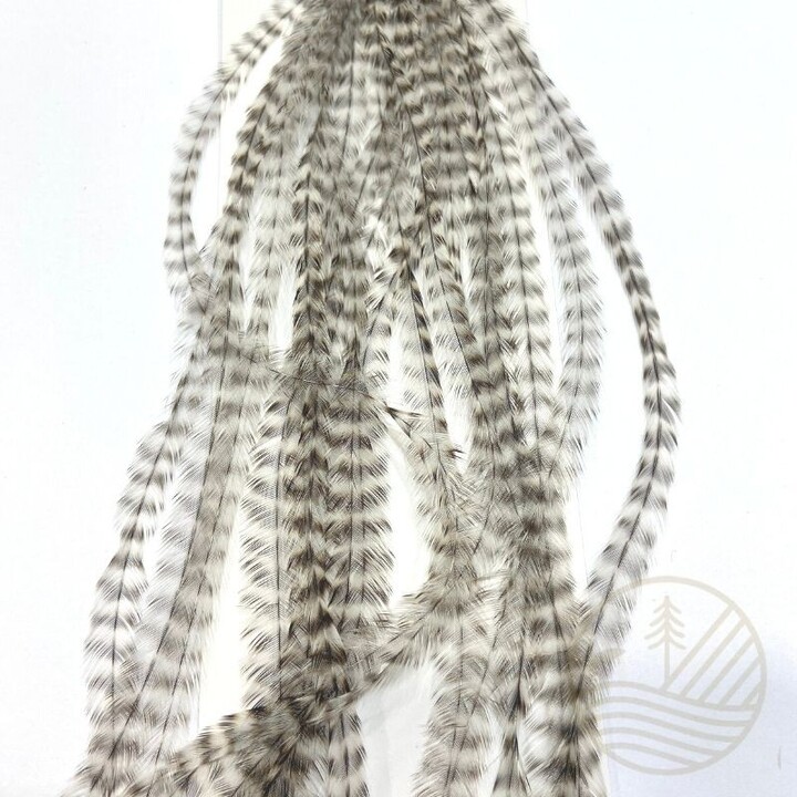 Plumes WHITING FARMS Microbarb Silver G2 | PLC-PECHE.FR