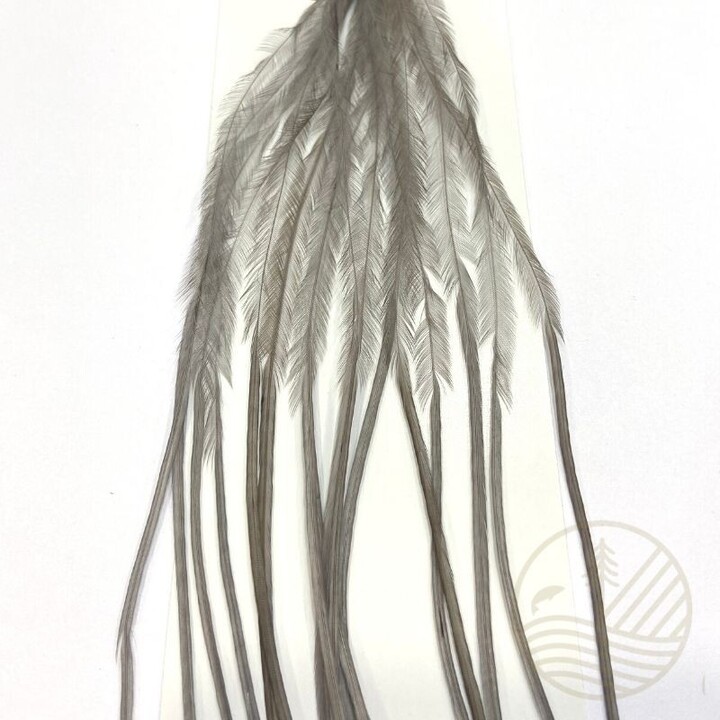 Plumes WHITING FARMS Microbarb Silver G2 | PLC-PECHE.FR