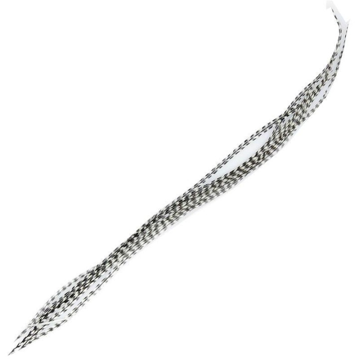 Lancettes Top grade MDC | PLC-PECHE.FR