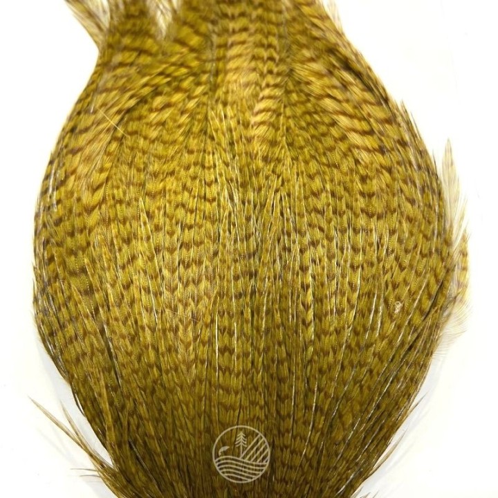 Cou de coq Grade 3 DEVAUX |PLC-PECHE.FR