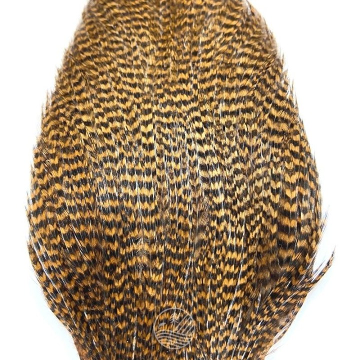 Cou de coq Grade 3 DEVAUX |PLC-PECHE.FR