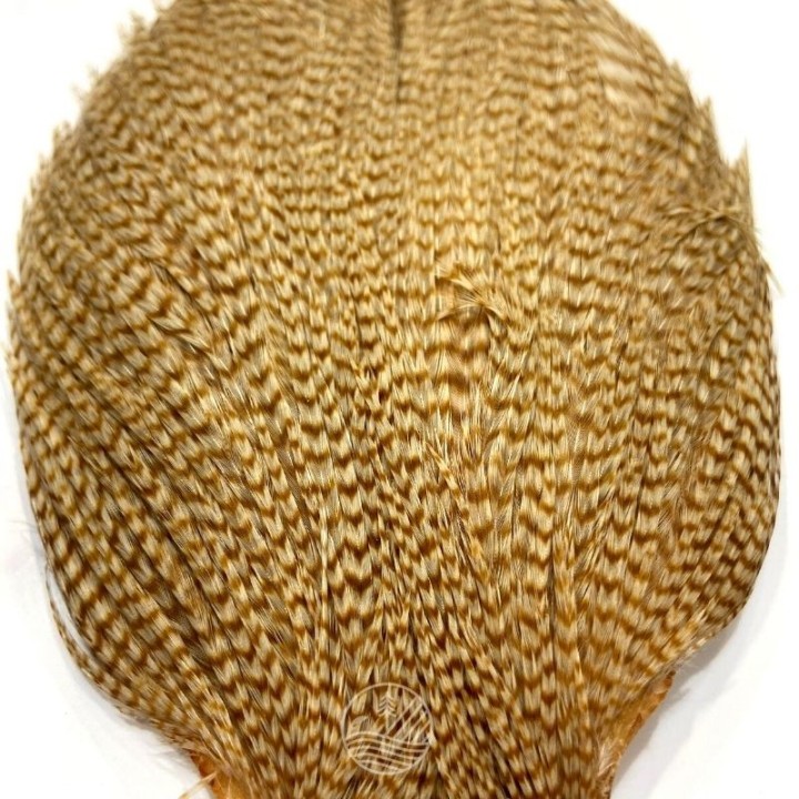 Cou de coq Grade 3 DEVAUX |PLC-PECHE.FR