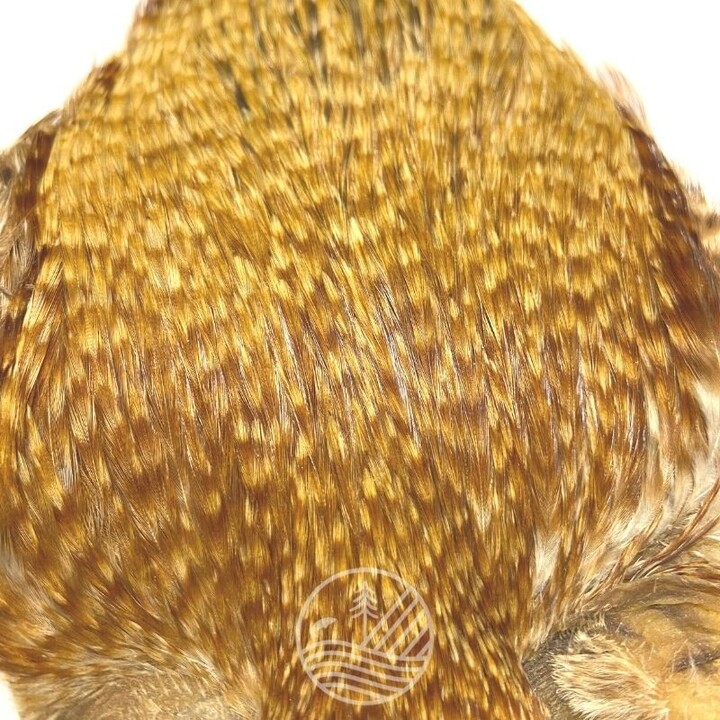 Cou de coq indien Top Grade Devaux | PLC-PECHE.FR