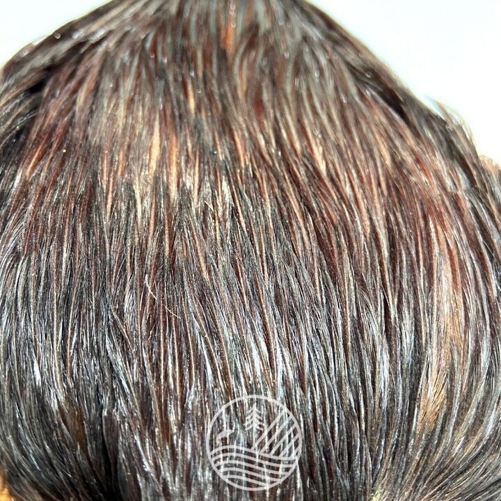 Cou de coq indien Top Grade Devaux | PLC-PECHE.FR