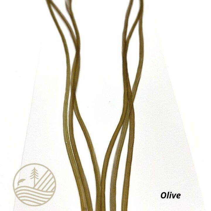 Plumes de coq DEVAUX Lancettes finesse et brillance | PLC-PECHE.FR