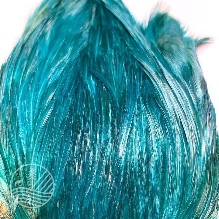 Cou de coq indien teint Devaux | PLC-PECHE.FR