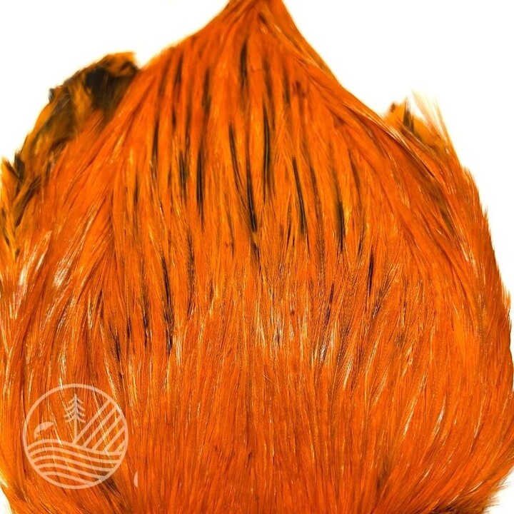Cou de coq indien teint Devaux | PLC-PECHE.FR