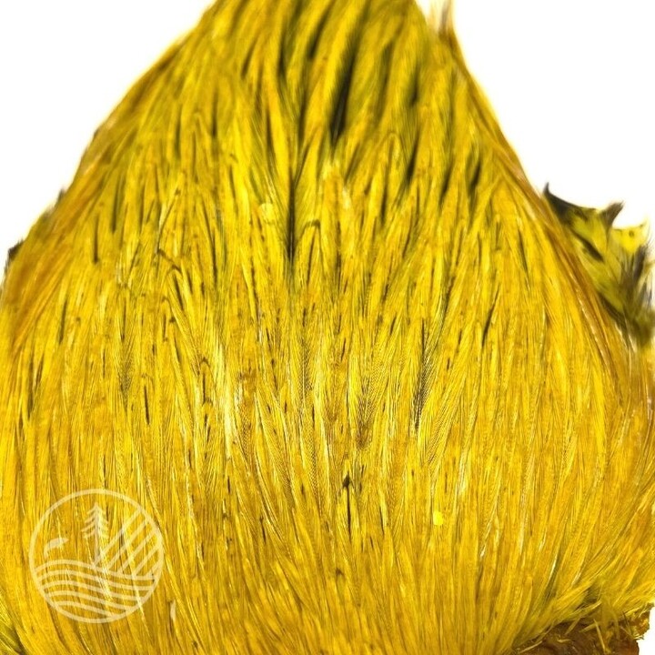 Cou de coq indien teint Devaux | PLC-PECHE.FR