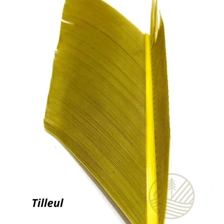 Quill d'aile de dinde MDC - PLC FLY SHOP