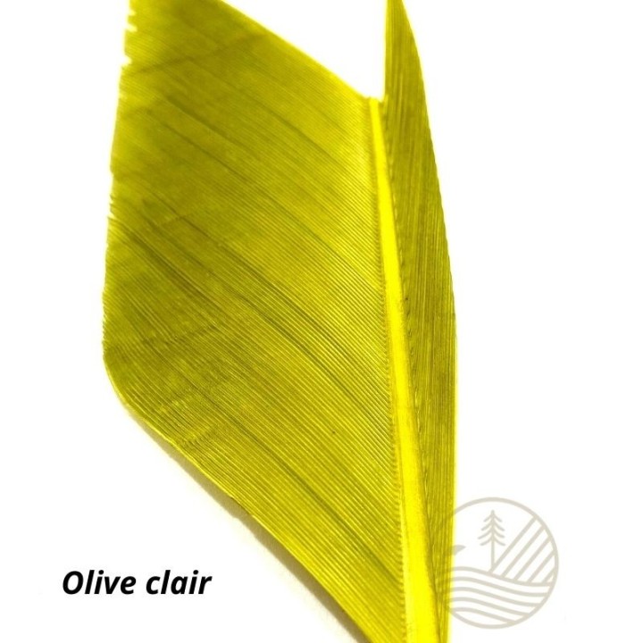 Quill d'aile de dinde MDC - PLC FLY SHOP