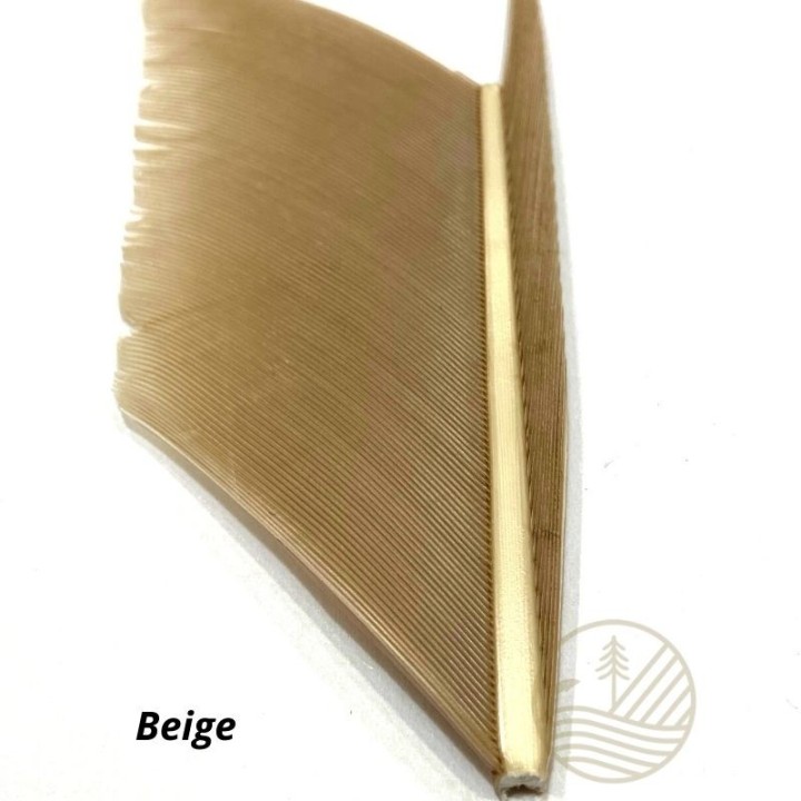 Quill d'aile de dinde MDC - PLC FLY SHOP