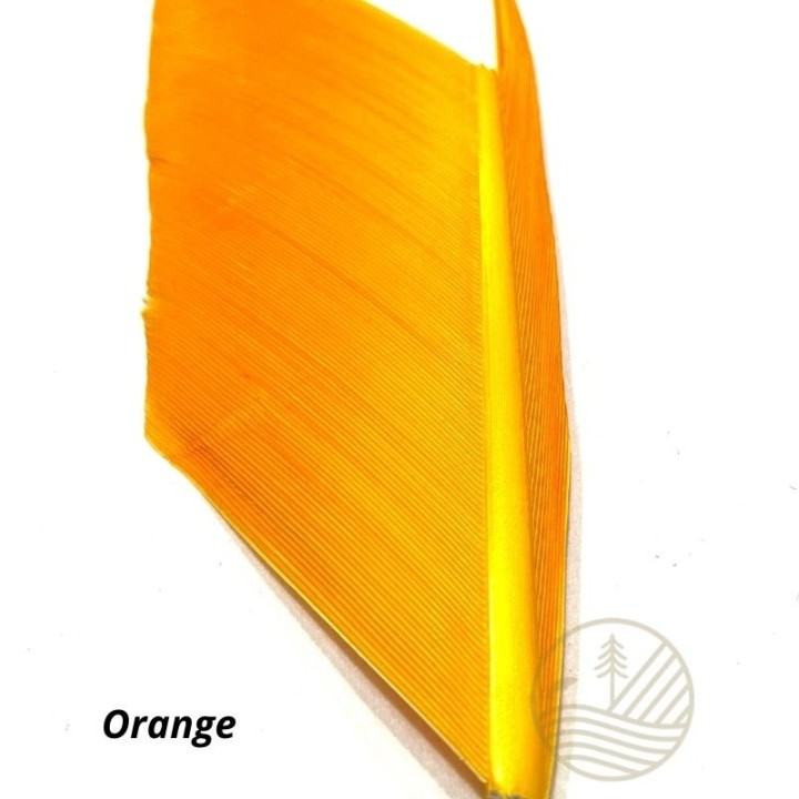 Quill d'aile de dinde MDC - PLC FLY SHOP