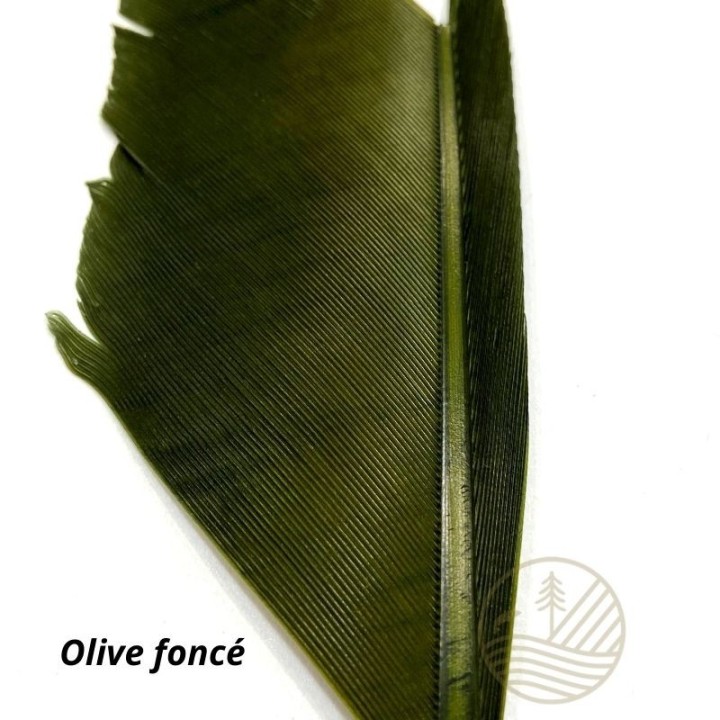 Quill d'aile de dinde MDC - PLC FLY SHOP