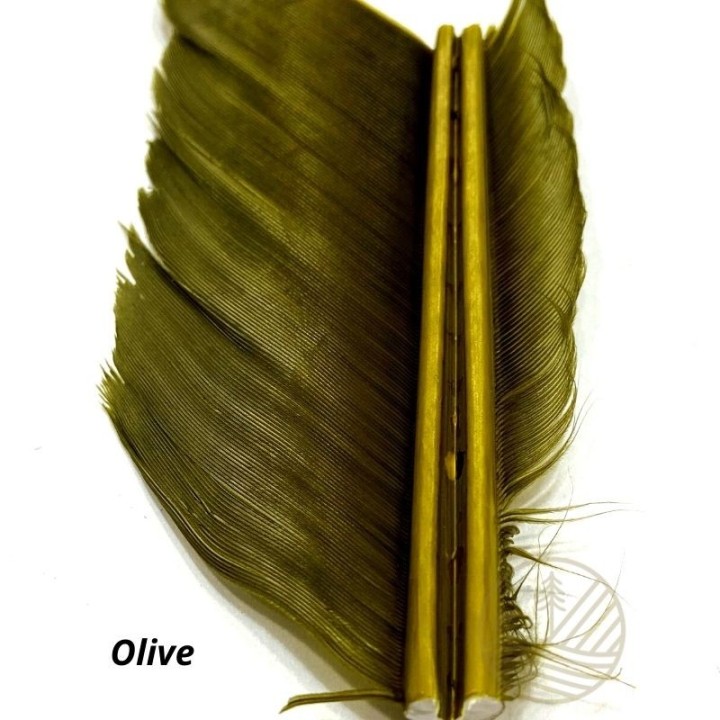 Quill d'aile de dinde MDC - PLC FLY SHOP