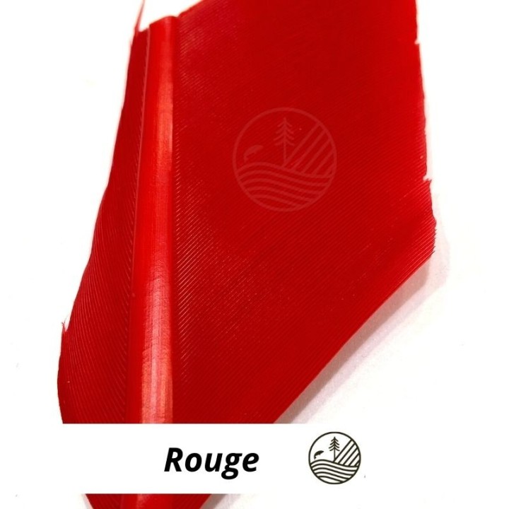 Substitut de condor DEVAUX | PLC-PECHE.FR