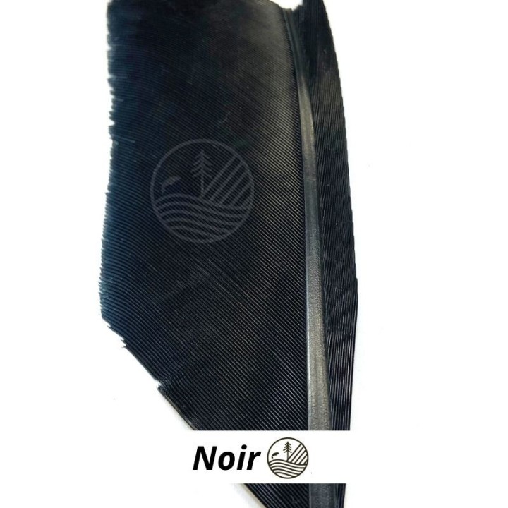 Substitut de condor MDC | PLC-PECHE.FR