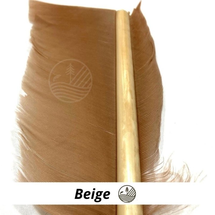 Substitut de condor MDC | PLC-PECHE.FR