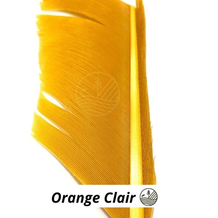 Substitut de condor MDC | PLC-PECHE.FR