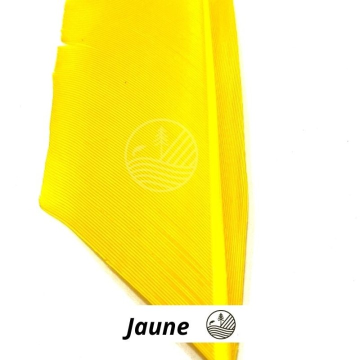 Substitut de condor MDC | PLC-PECHE.FR