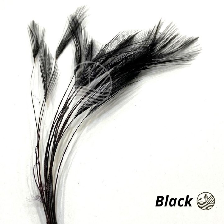 Ready stripped hackle quills VENIARD | PLC-PECHE.FR