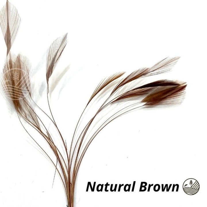 Ready stripped hackle quills VENIARD | PLC-PECHE.FR