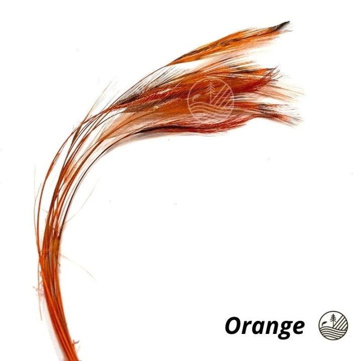 Ready stripped hackle quills VENIARD | PLC-PECHE.FR