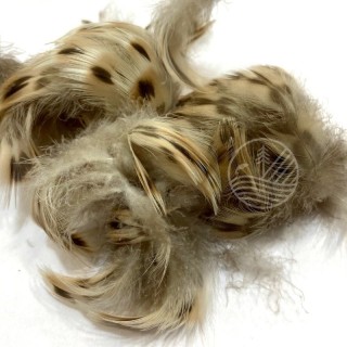 Hen mallard breast poitrail de cane VENIARD | PLC-PECHE.FR