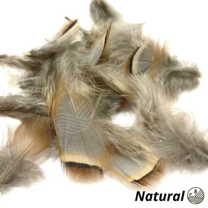 French Partridge Hackle 2gr VENIARD | PLC-PECHE.FR