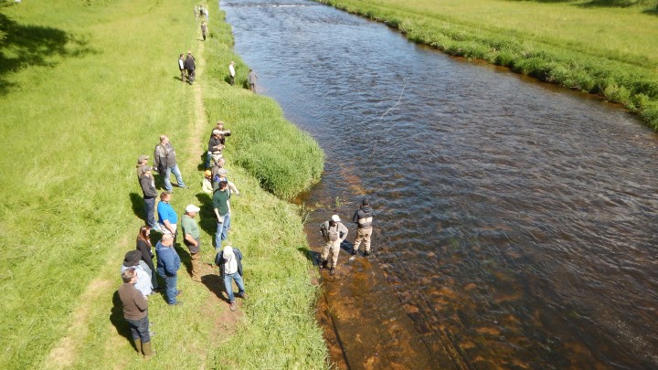 Stage de Spey 