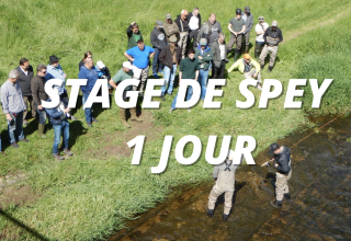 Stage de Spey 