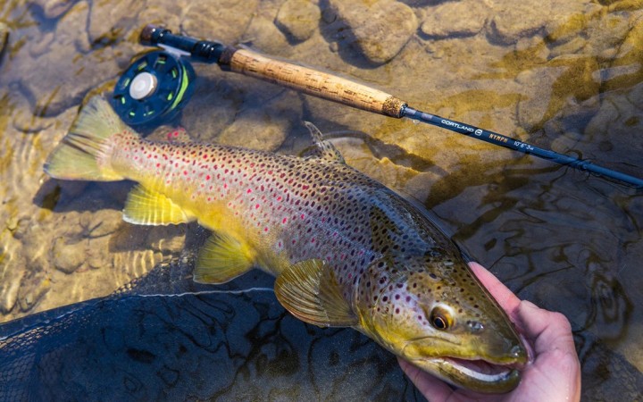 Canne CORTLAND Nymph 10'6 soie de 3 | PLC-PECHE.FR