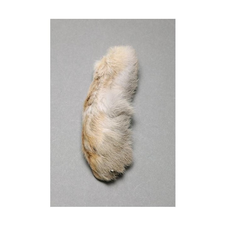 Patte de lièvre des neige Snowshoe Rabbit FLY SCENE | PLC-PECHE.FR