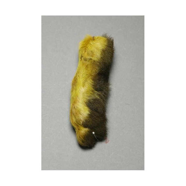 Patte de lièvre des neige Snowshoe Rabbit FLY SCENE | PLC-PECHE.FR