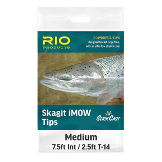 Rio Skagit iMow Tip Medium | PLC-PECHE.FR