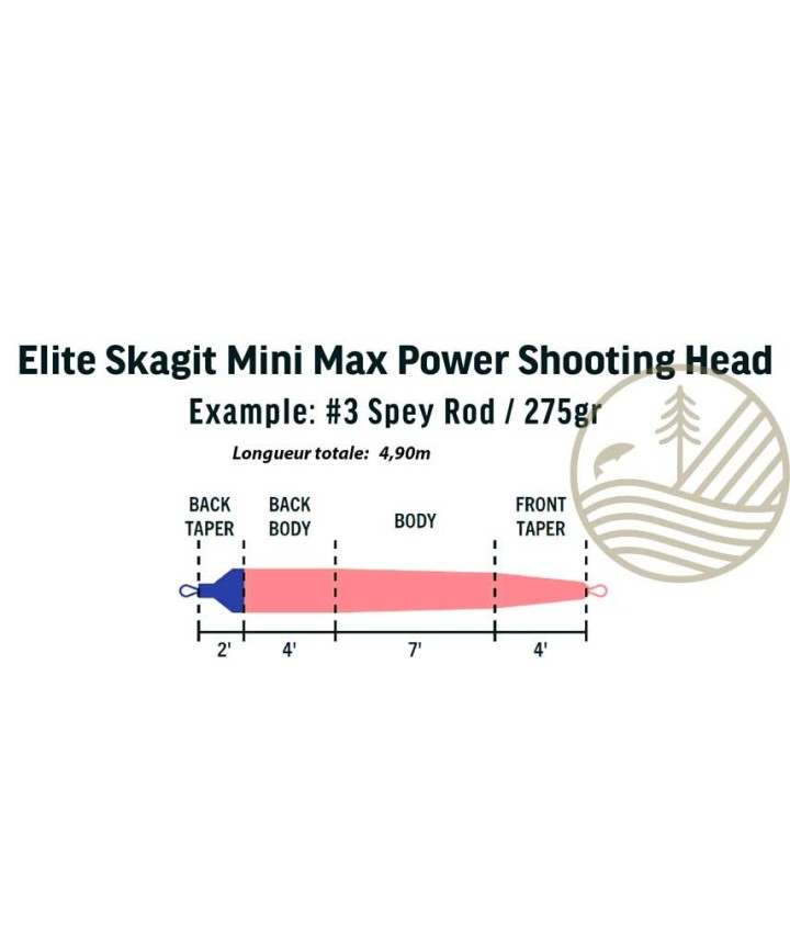 Rio Elite Trout Spey Shooting Head | PLC-PECHE.FR