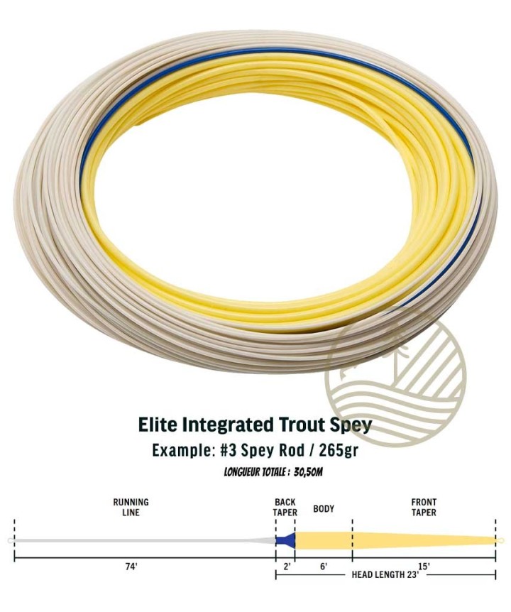 Soie RIO Elite Integrated Trout Spey | PLC-PECHE.FR