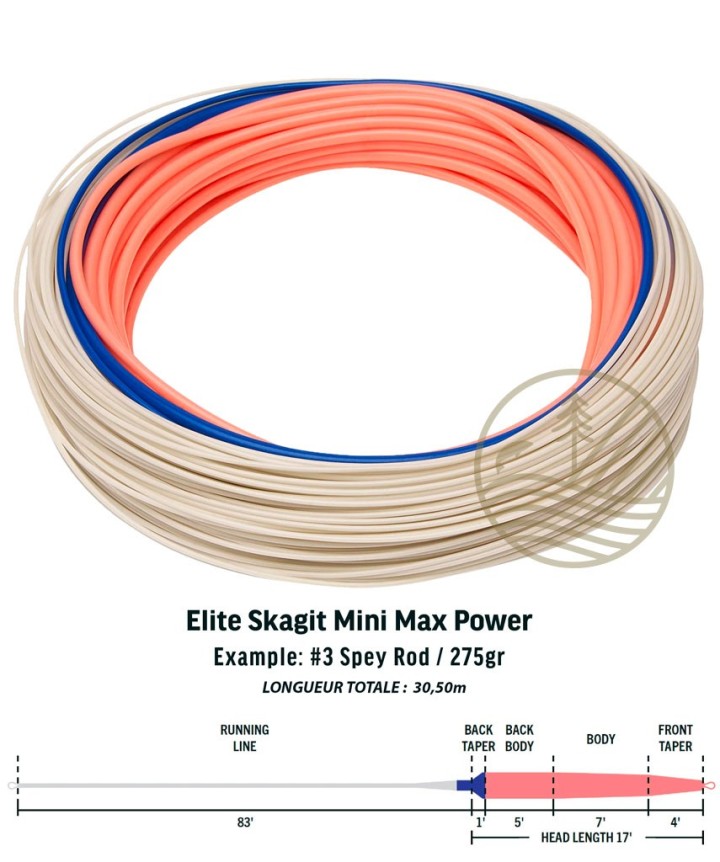 Soie RIO Elite Integrated Skagit Mini Max Power | PLC-PECHE.FR