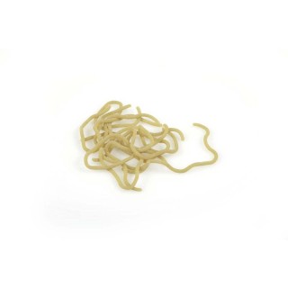 Jelly Worms MDC | PLC-PECHE.FR