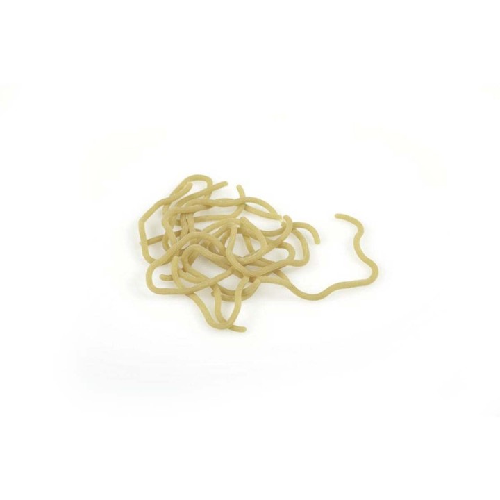 Jelly Worms MDC | PLC-PECHE.FR