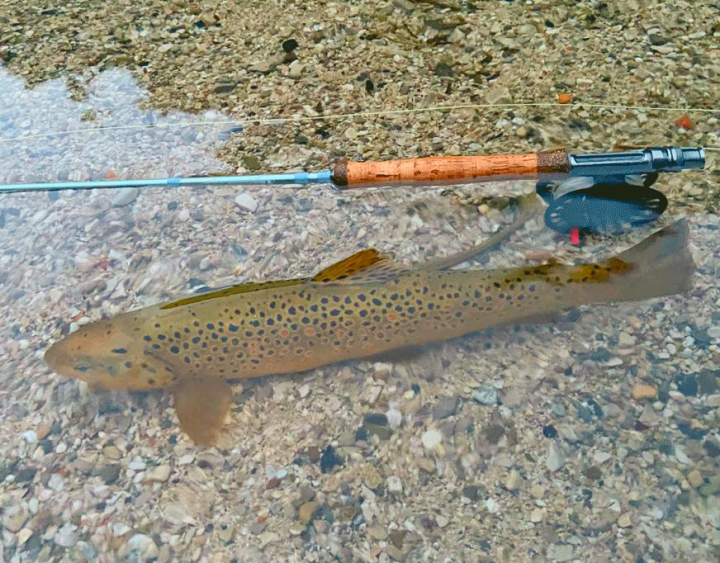 Stage de Pêche à la mouche (1 pers.) | PLC-PECHE.FR