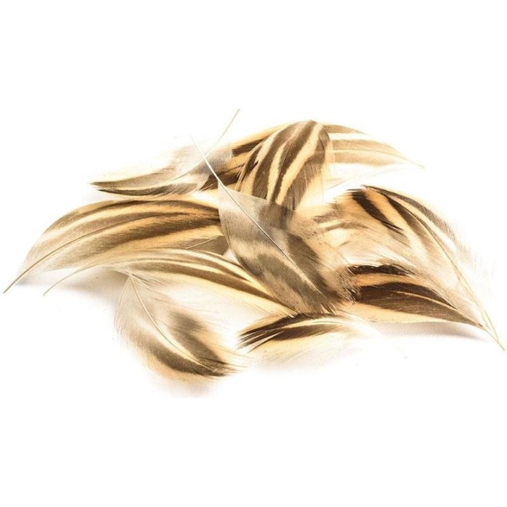 Plumes flanc de canne + Poitrail | PLC-PECHE.FR